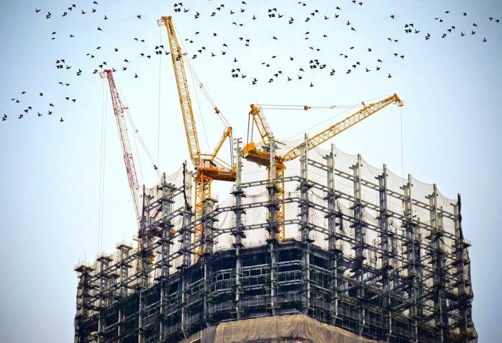 cranes resized cranes resized