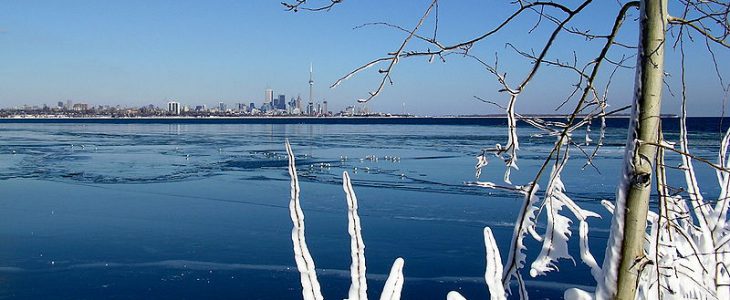 View of Toronto skyline with frozen tree in foreground