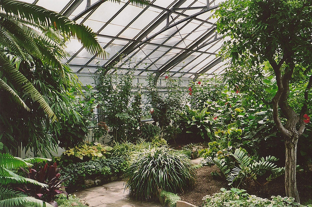 Interior of the Allan Gardens conservatory greenhouse.